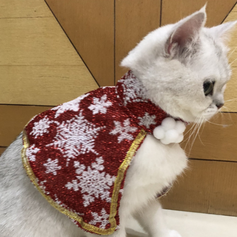 Cat Small White Floral Striped Top  Dog Snowflake Festive Cloak