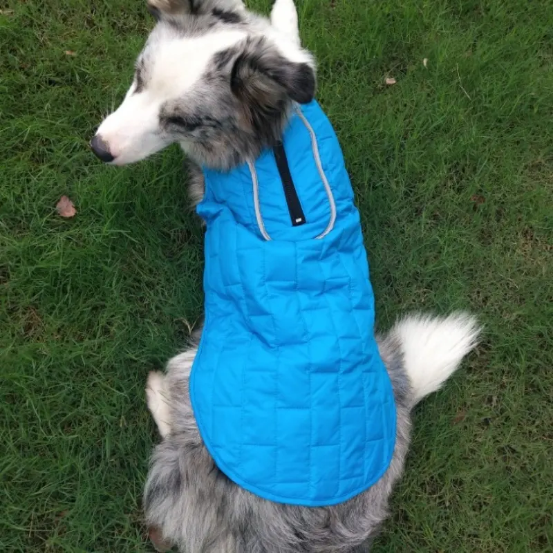 Autumn And Winter Pet Clothes Double Color