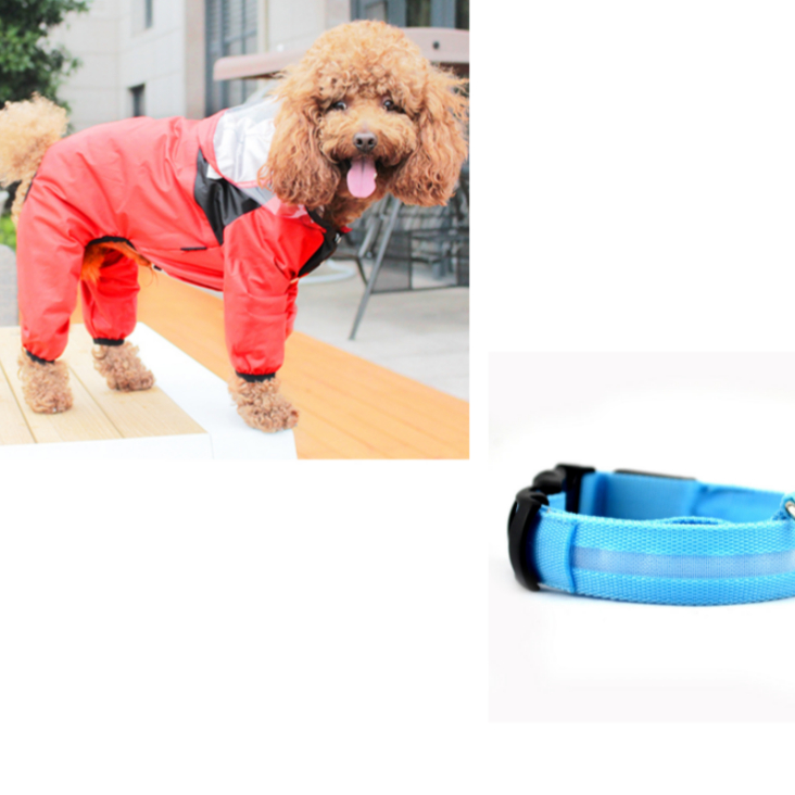 Clothes On Rainy Days Pet Poncho