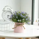 Starry Potted Purple