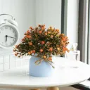 Starry Potted Orange