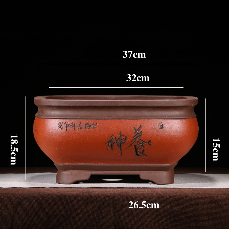 https://oss-cf.cjdropshipping.com/product/2025/07/02/03/3d1ac4c3-9491-4188-8aa4-cfc205654e4f.jpg
