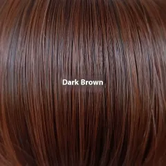 Fashion Wine Red Wig Front Lace Small Roll Wound Tube Afro Synthetic Wigs - Dark Brown - View 1