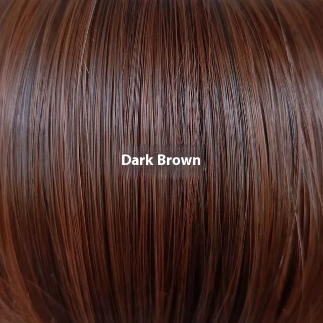 Fashion Wine Red Wig Front Lace Small Roll Wound Tube Afro Synthetic Wigs Dark Brown - Shop at LoveMi