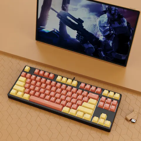 87 Key Wired Game Hot Plug Two Colors Mechanical