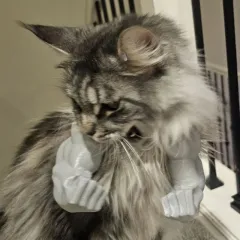 Funny Muscle Hand Developed Arm Creative Cat Hanging Items - Grey - View 1