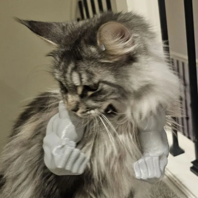 Funny Muscle Hand Developed Arm Creative Cat Hanging Items Gray - Shop at LoveMi