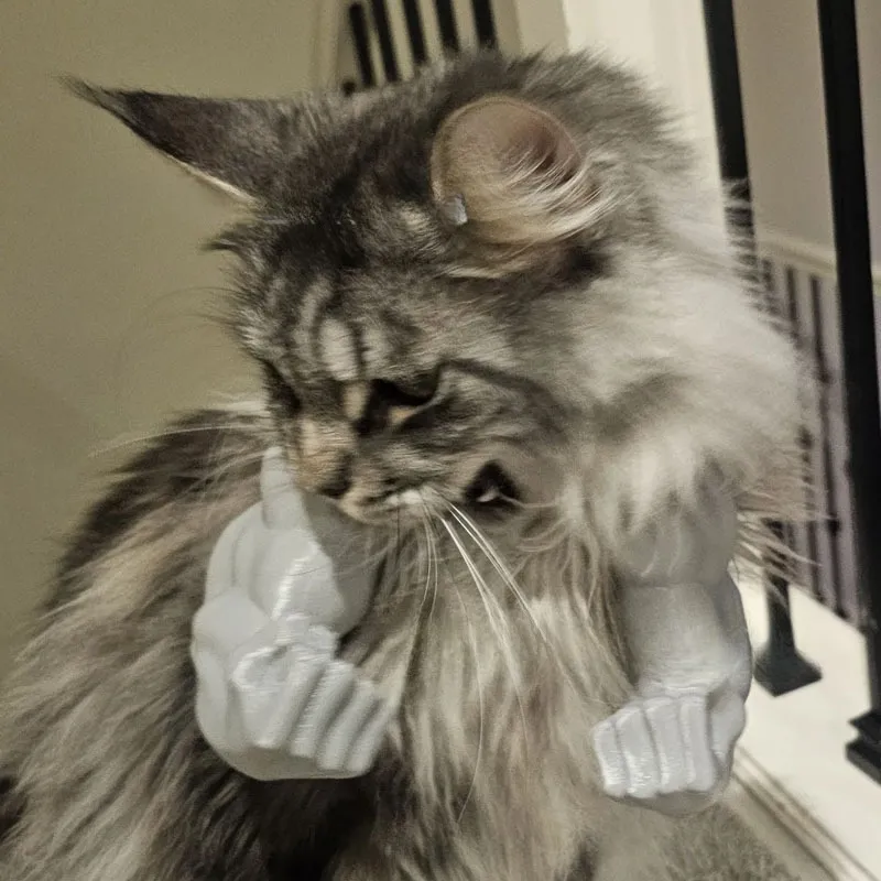 Funny Muscle Hand Developed Arm Creative Cat Hanging Items - Grey