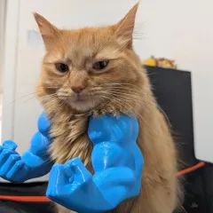Funny Muscle Hand Developed Arm Creative Cat Hanging Items - Blue - View 1