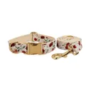 Collar And Leash