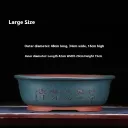Y Blue Plus Size
