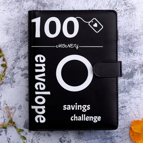 100 Days Challenge Deposit and Savings Budget Jobs