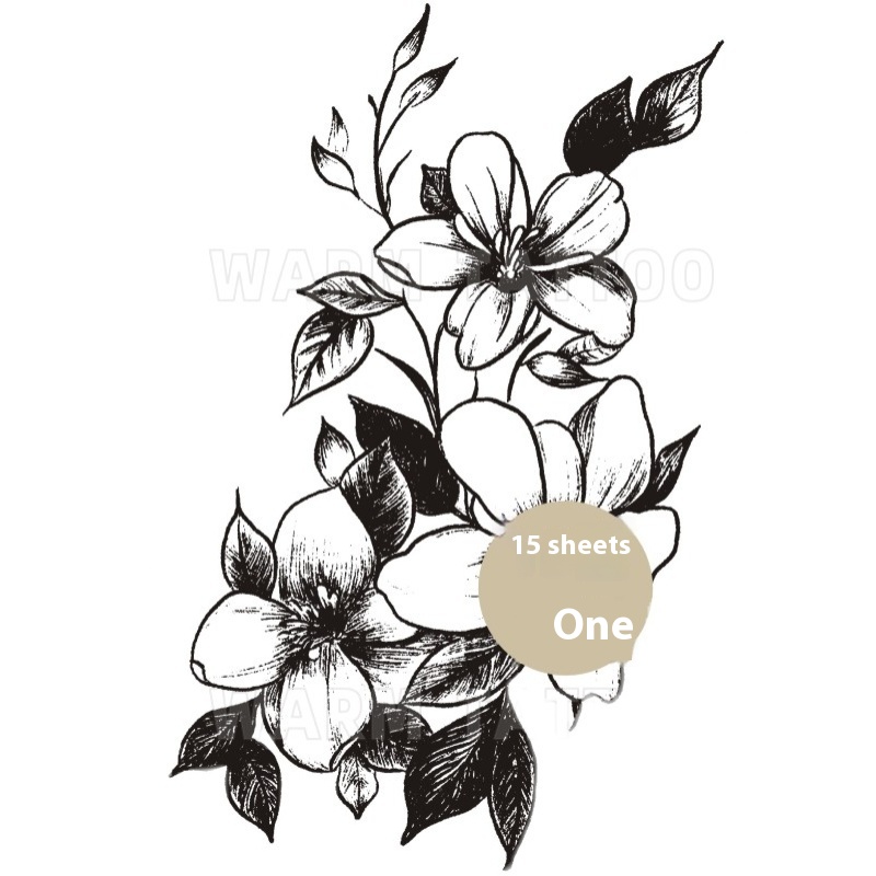 https://oss-cf.cjdropshipping.com/product/2025/07/09/11/50d2f31e-4004-47e2-8e71-b5de9bee0515_trans.jpeg