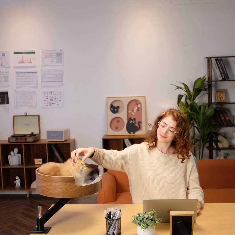 Desktop Cat Nest with cat and owner