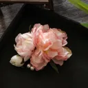 Ornamental Flower