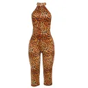 Leopard Color
