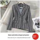 Gray Stripe Suit Jacket
