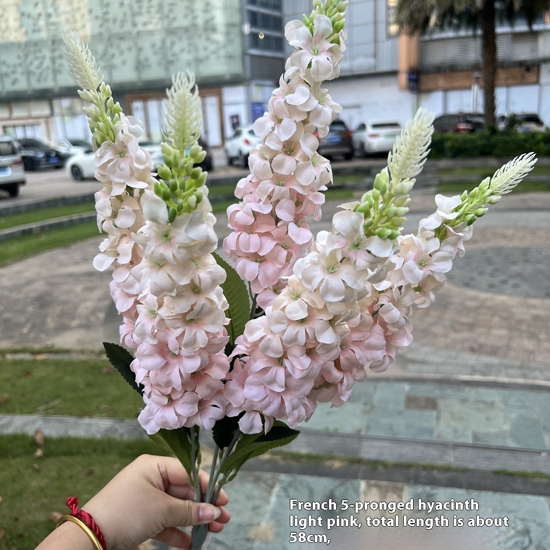 https://oss-cf.cjdropshipping.com/product/2025/07/19/05/0c192939-5da0-4788-a453-e007341d136b_trans.jpeg