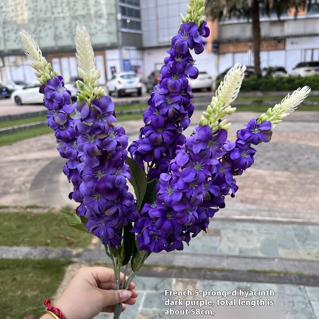 https://oss-cf.cjdropshipping.com/product/2025/07/19/05/18fce98c-d356-48a3-b174-f6bbb7333d6c_trans.jpeg