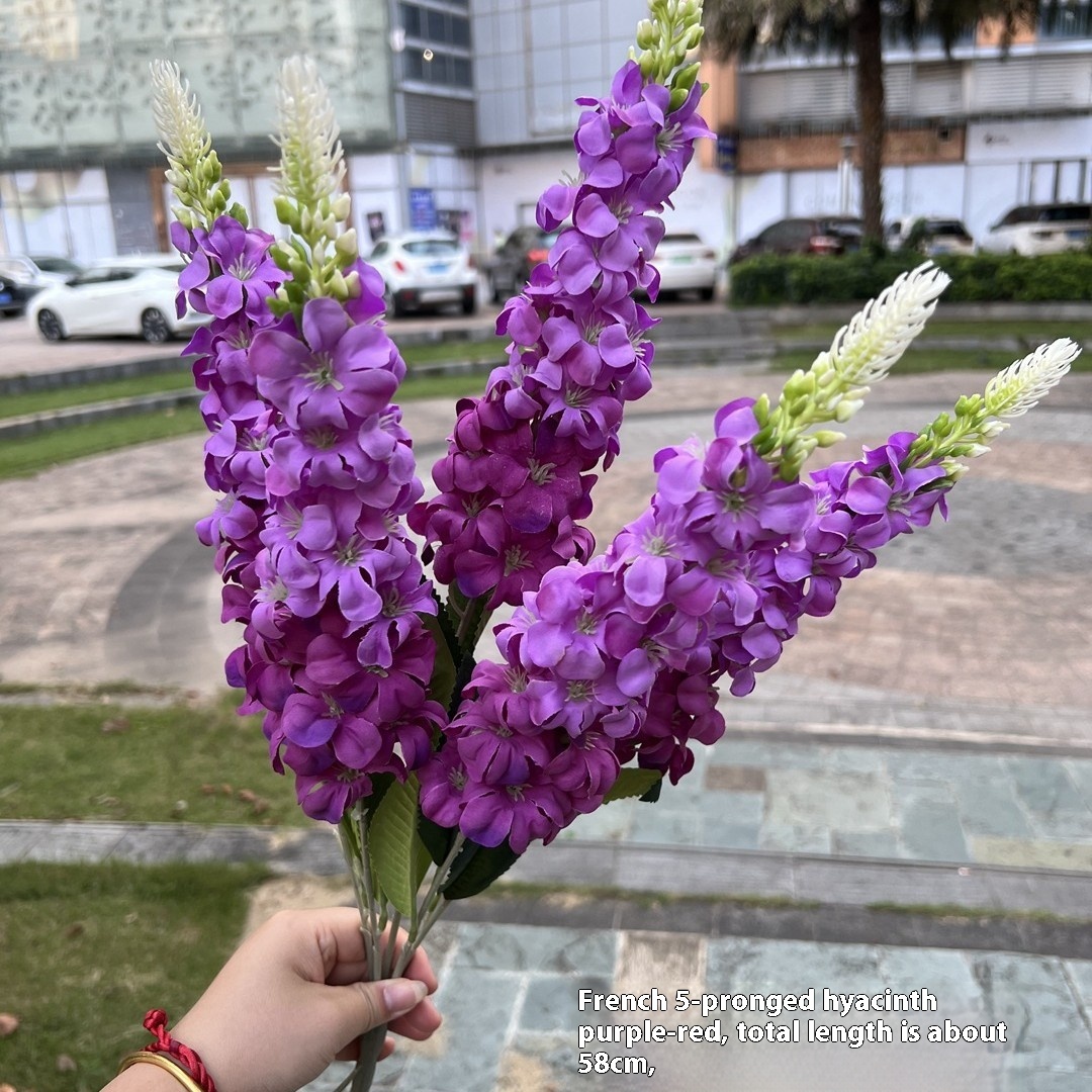 https://oss-cf.cjdropshipping.com/product/2025/07/19/05/20b92588-873c-4aec-9e34-17bc077b8556_trans.jpeg