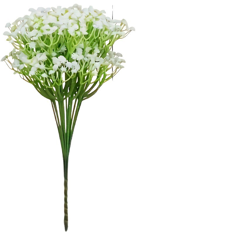 https://oss-cf.cjdropshipping.com/product/2025/07/19/05/a26accd8-6000-4fc4-b86d-9584e8d7b1ac.jpg