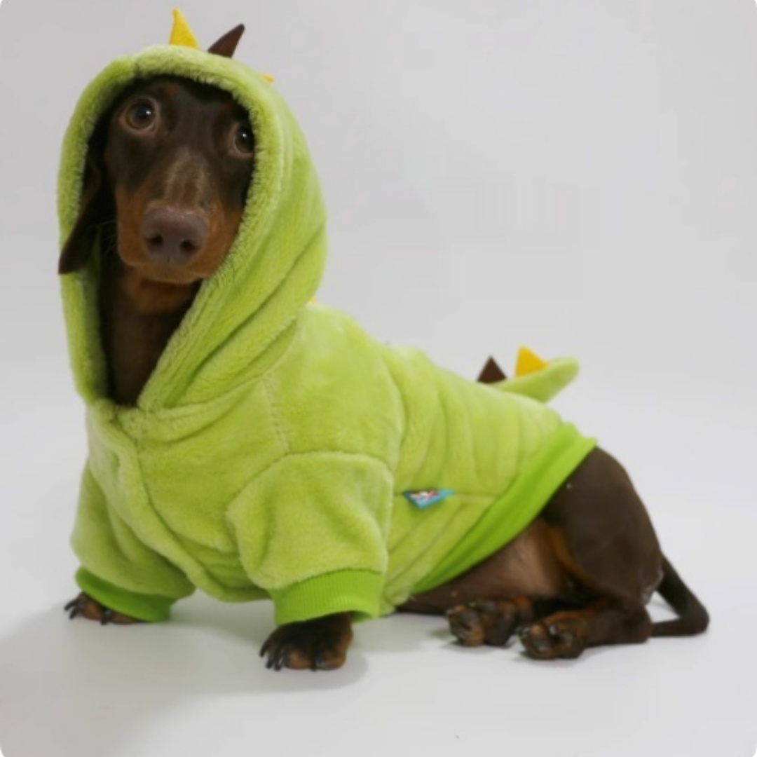 Halloween Crossdressing Little Dinosaur Double-sided With Velvet Thermal Hooded Sweatshirt