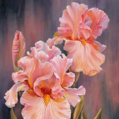 DIY Digital Oil Painting By Numbers