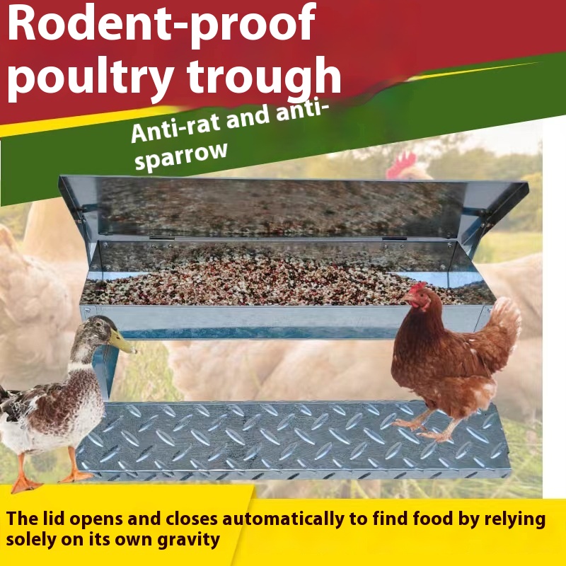 Pedal Chicken Feeding Trough Stainless Steel Chicken Artifact Automatic Feeding Universal Slot
