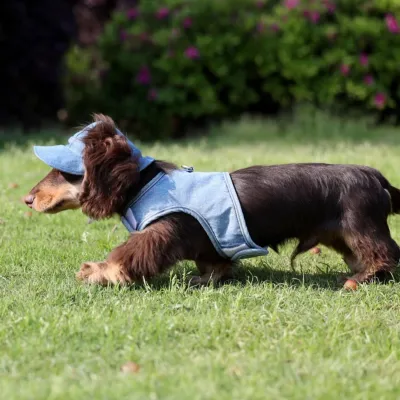 Pet Wild Cowboy Hat Sunscreen Dog Sun Protection Hat