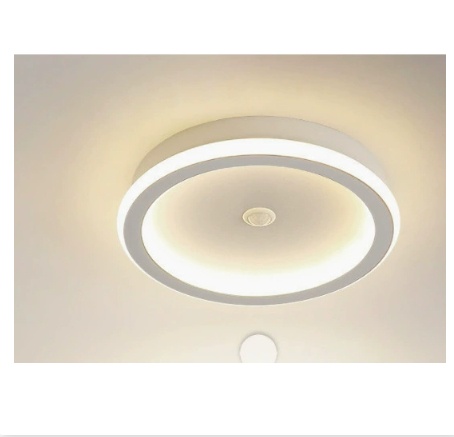 Infrared Sensor Lamp Led Aisle Light Corridor Light Staircase Light-controlled Ceiling Lamp - Image 11