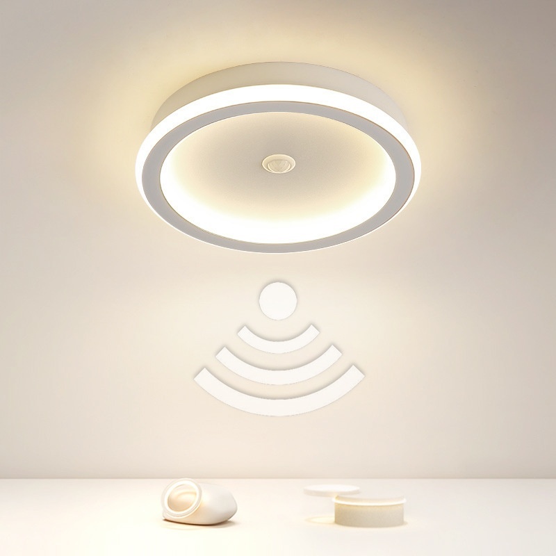 Infrared Sensor Lamp Led Aisle Light Corridor Light Staircase Light-controlled Ceiling Lamp - Image 5