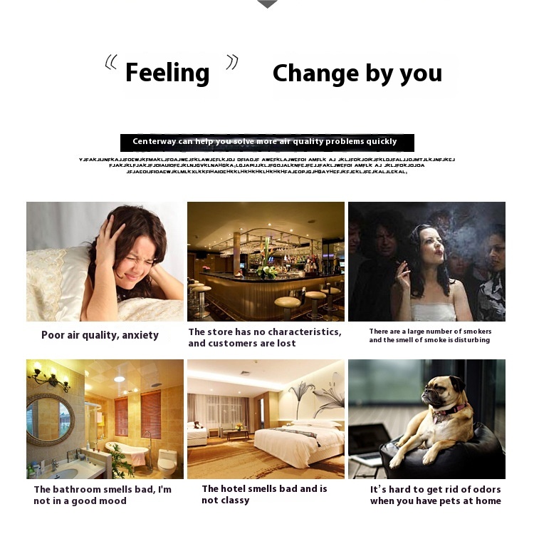 91e65c2d-3734-4d54-9f62-454433bb10e1_trans.jpeg