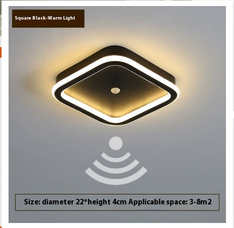 Infrared Sensor Lamp Led Aisle Light Corridor Light Staircase Light-controlled Ceiling Lamp - Image 4