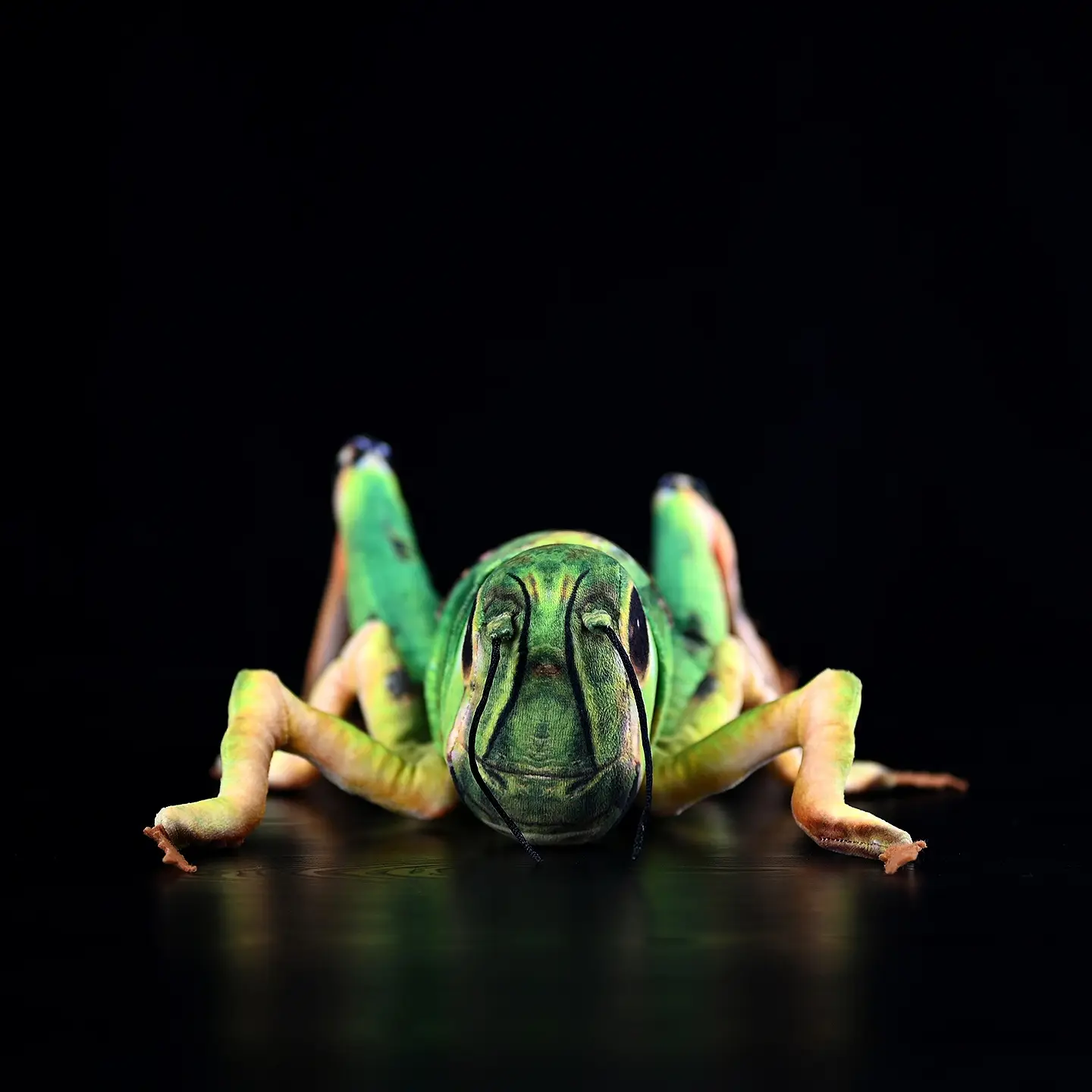 Simulation Grasshopper Doll Cute Grasshopper Plush Toy