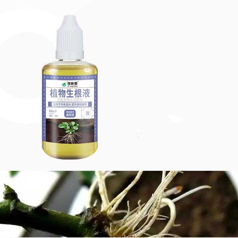 https://oss-cf.cjdropshipping.com/product/2025/07/25/01/08854181-91b3-45b1-b2ca-13e883299743.jpg