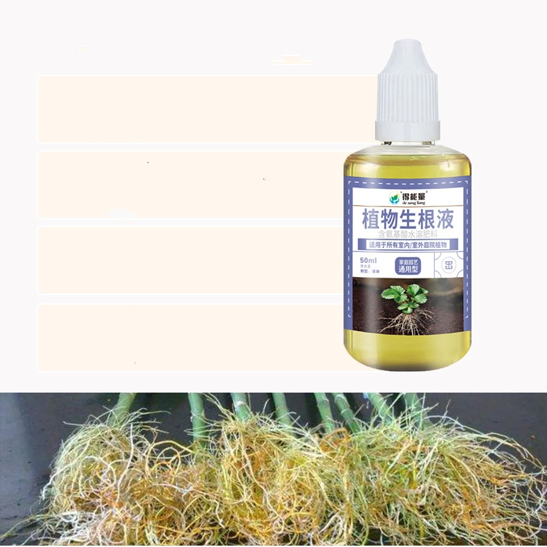https://oss-cf.cjdropshipping.com/product/2025/07/25/01/c247e94c-06d7-46ae-940f-6fdca0332fe5.jpg