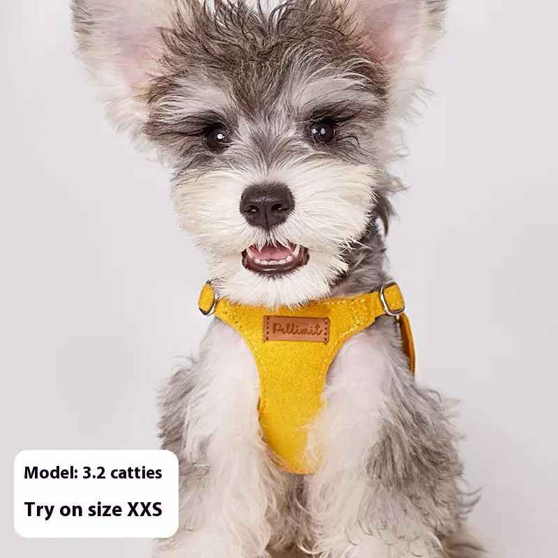 Puppy Hand Holding Rope Vest Dog Walking
