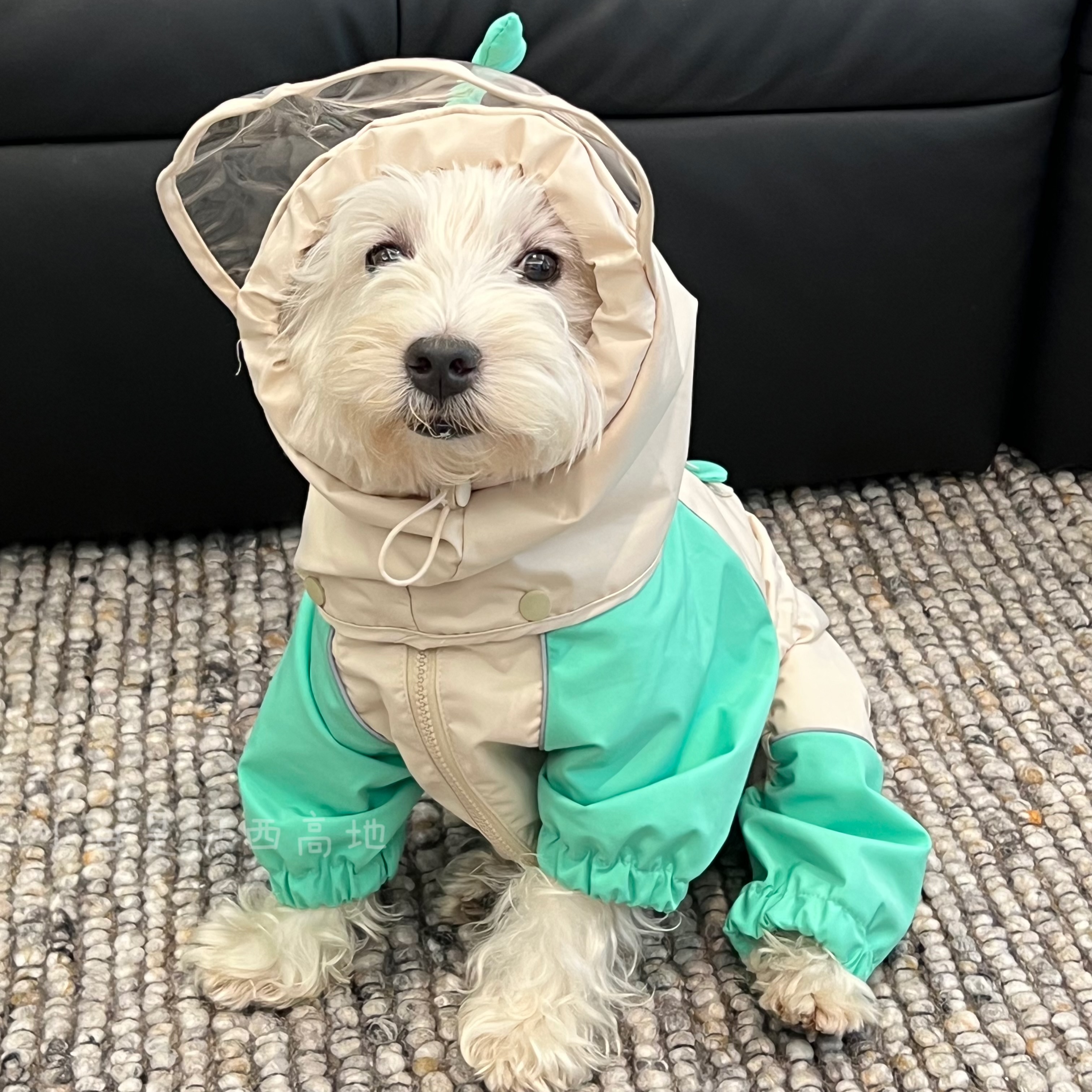 Schnauzer Four-legged Waterproof Clothes Pet Poncho