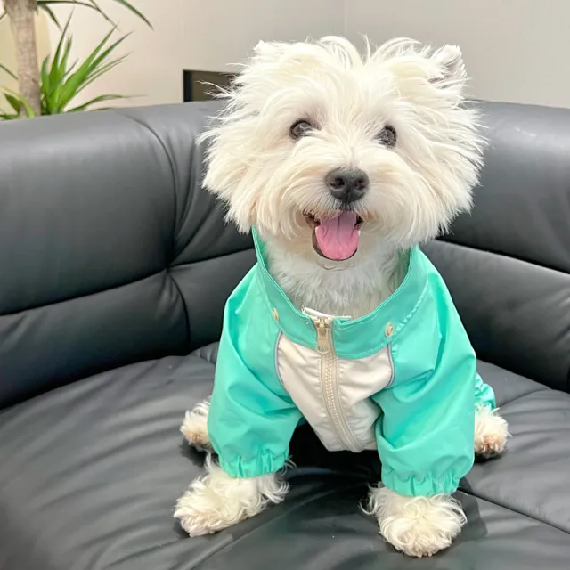 Schnauzer Four legged Waterproof Clothes Pet Poncho Khaki - Shop at LoveMi