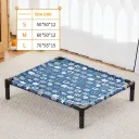 Blue Background Cat