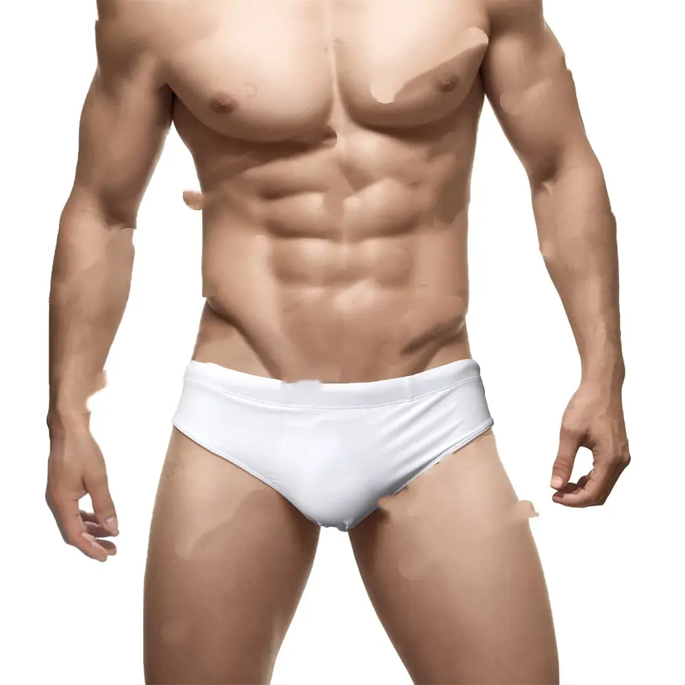 Solid Color Nylon Men's Swim Briefs Low Waist Sexy