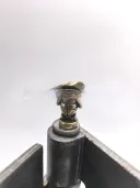 Cute Turtle