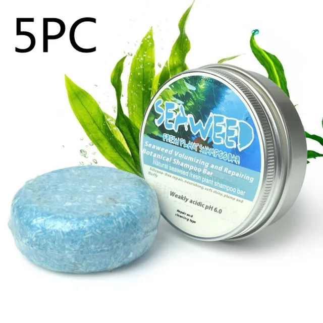 Ginger Skin Care Shampoo Conditioner Essential Oil Soap Nourishing Seaweed 5Pc - Shop at LoveMi