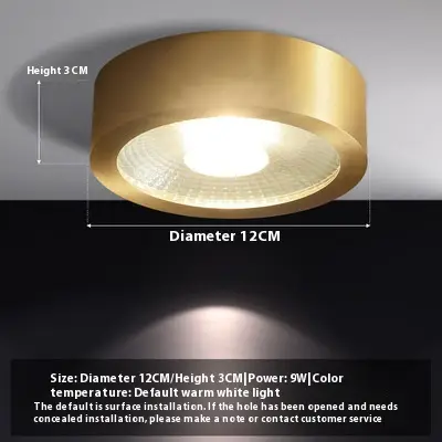 All-copper Surface Mounted Downlight Led Ultra-thin Ceiling Lamp Spotlight