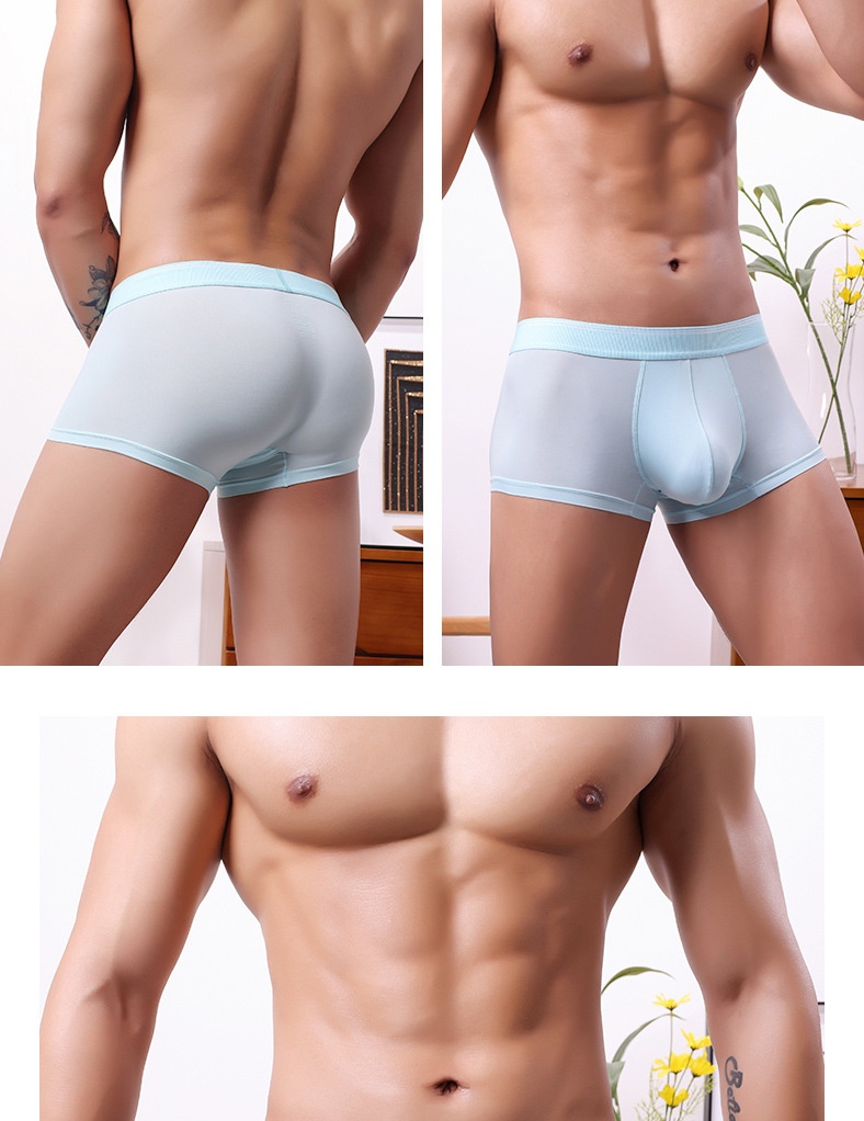 Scrotal Support Men's Underpants U Convex Anti-moving Ice Silk Boxer | Elevated Statement