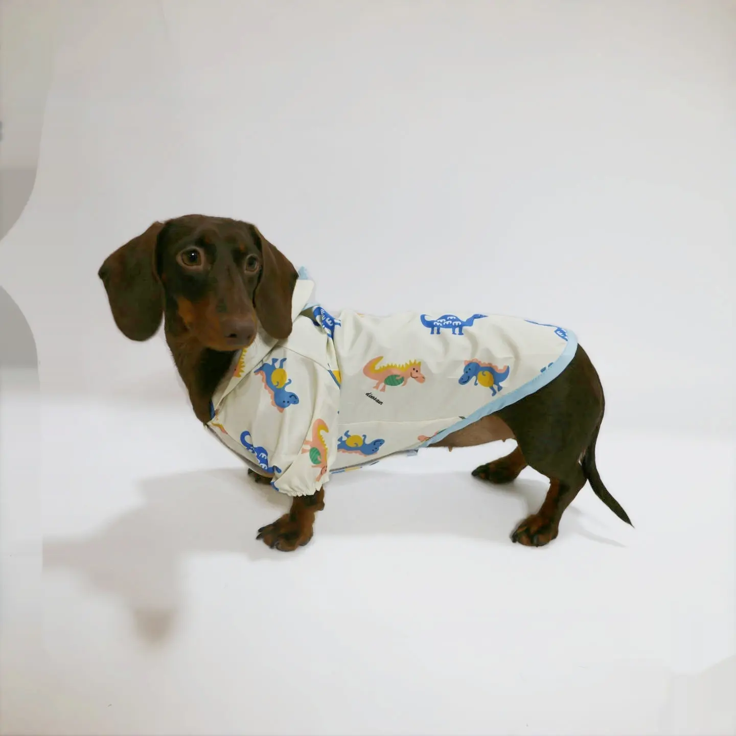 Pet Clothes Spring And Summer Dinosaur Splash-proof