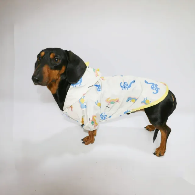 Pet Clothes Spring And Summer Dinosaur Splash proof Blue - Shop at LoveMi