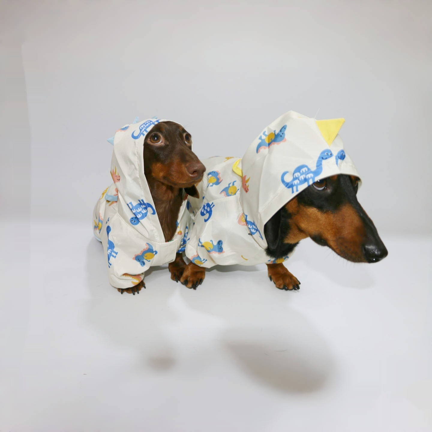 Pet Clothes Spring And Summer Dinosaur Splash-proof