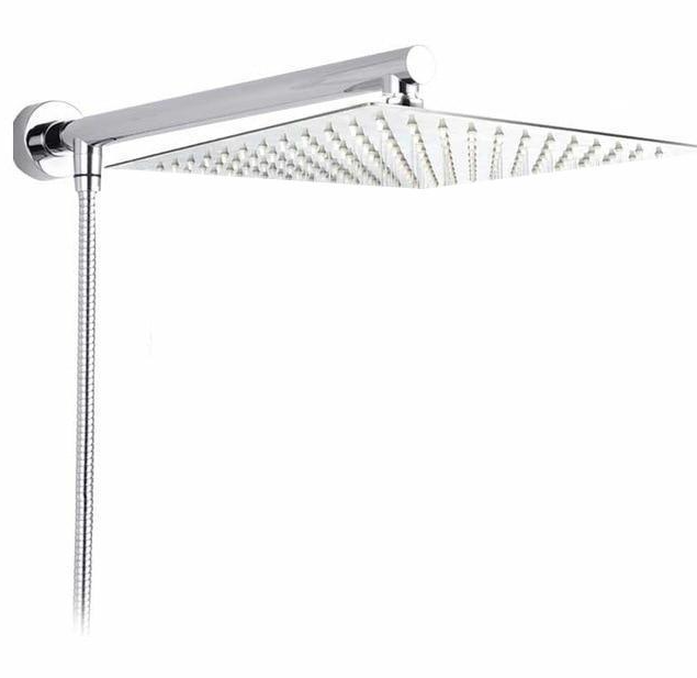 Stainless Steel Wall-mounted Pipe With Exposed Shower Arm