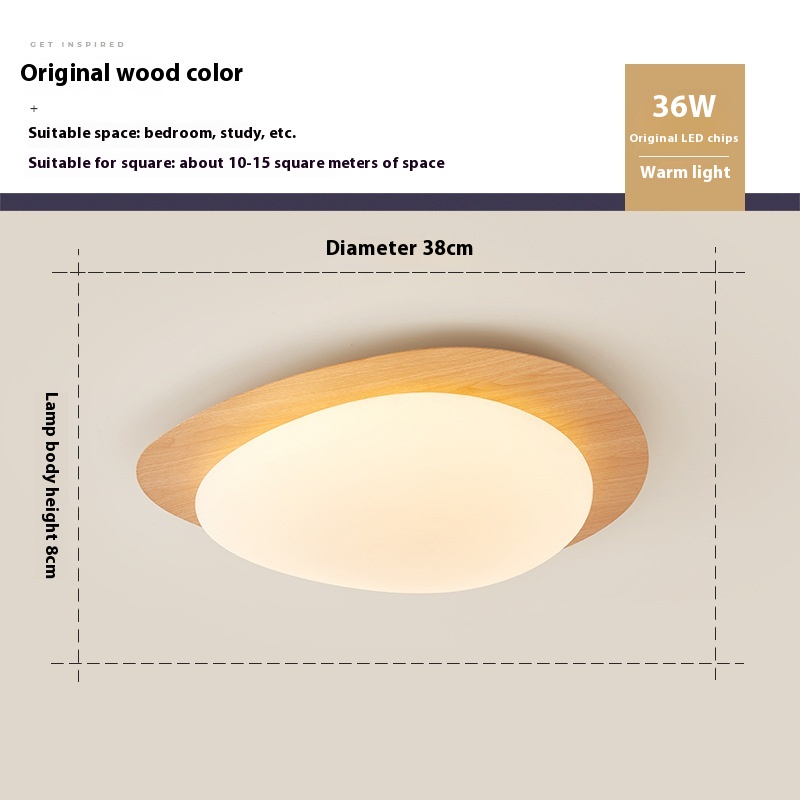 New Chinese Master Bedroom Iron Eye Protection Ceiling Lamp